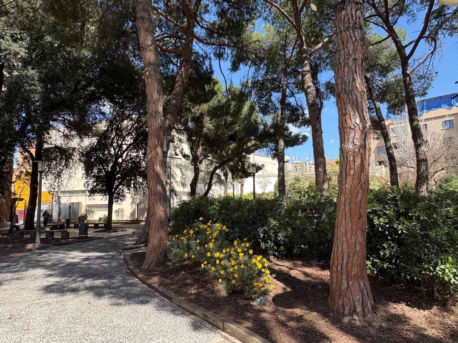 Imagen 14 Dúplex en venta en Sabadell / Dúplex en finca histórica, a unos pasos de l´Ajuntament