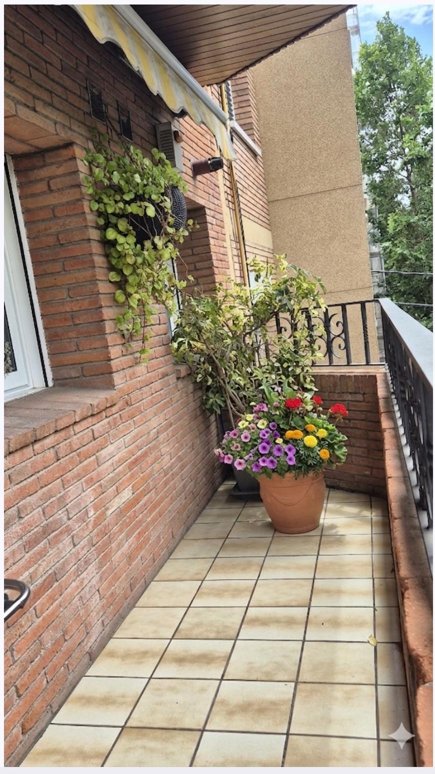 Imagen 5 Piso en venta en Sabadell / Avenida Barbera