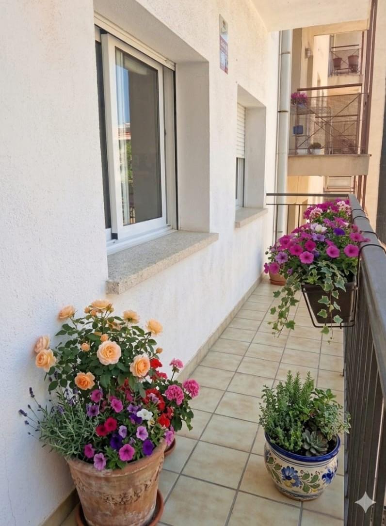 Imagen 12 Piso en venta en Sabadell / Avenida Barbera