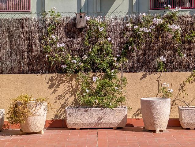 Imagen 1 Inmueble 291646 - Piso en venta en Sabadell / Junto a Rambla.