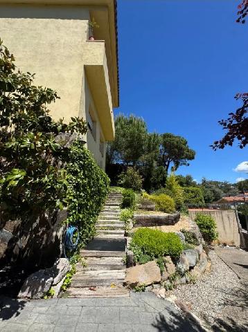 Imagen 3 Inmueble 303174 - Casa en venta en Castellar Del Vallès / Sant Feli del Racó