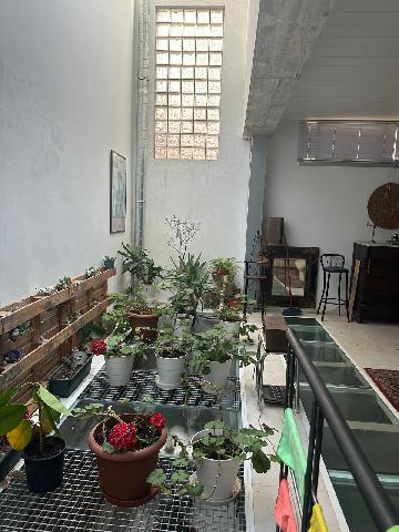 Imagen 13 Inmueble 291837 - Planta Baja en venta en Barcelona / Calle Canalejas (junto el Mercado de Sant Medi) Imagen 13 Inmueble 291837 - Planta Baja en venta en Barcelona / Calle Canalejas (junto el Mercado de Sant Medi)