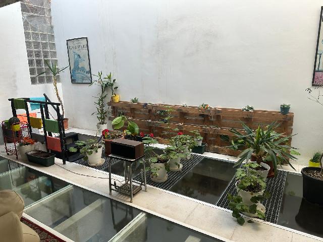 Imagen 8 Inmueble 291837 - Planta Baja en venta en Barcelona / Calle Canalejas (junto el Mercado de Sant Medi) Imagen 8 Inmueble 291837 - Planta Baja en venta en Barcelona / Calle Canalejas (junto el Mercado de Sant Medi)