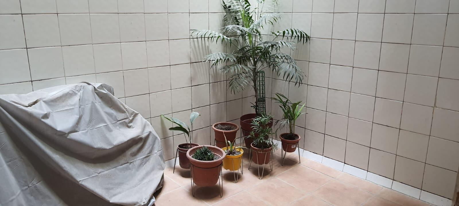 Imagen 29 Piso en venta en Barcelona / Novell - Joan Güell