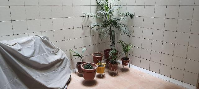 Imagen 29 Inmueble 298261 - Piso en venta en Barcelona / Novell - Joan Güell