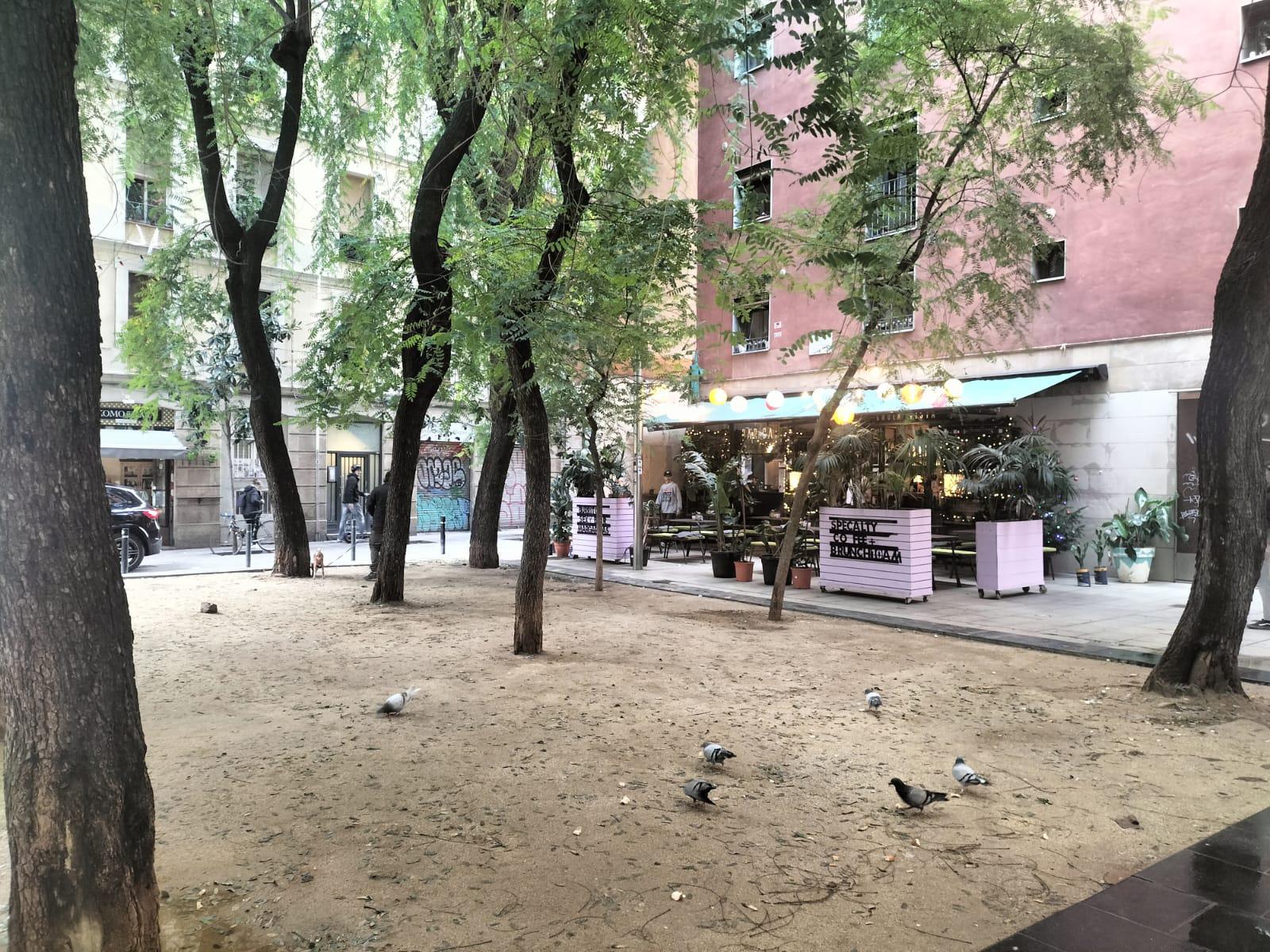 Imagen 29 Piso en venta en Barcelona / Peu de la Creu - Joaquim Costa