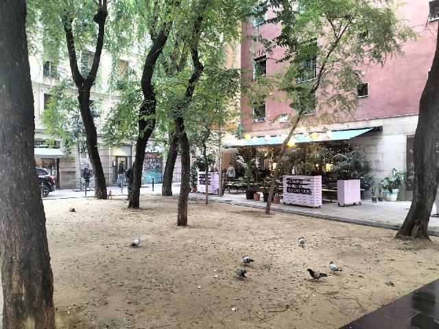 Imagen 29 Inmueble 298290 - Piso en venta en Barcelona / Peu de la Creu - Joaquim Costa