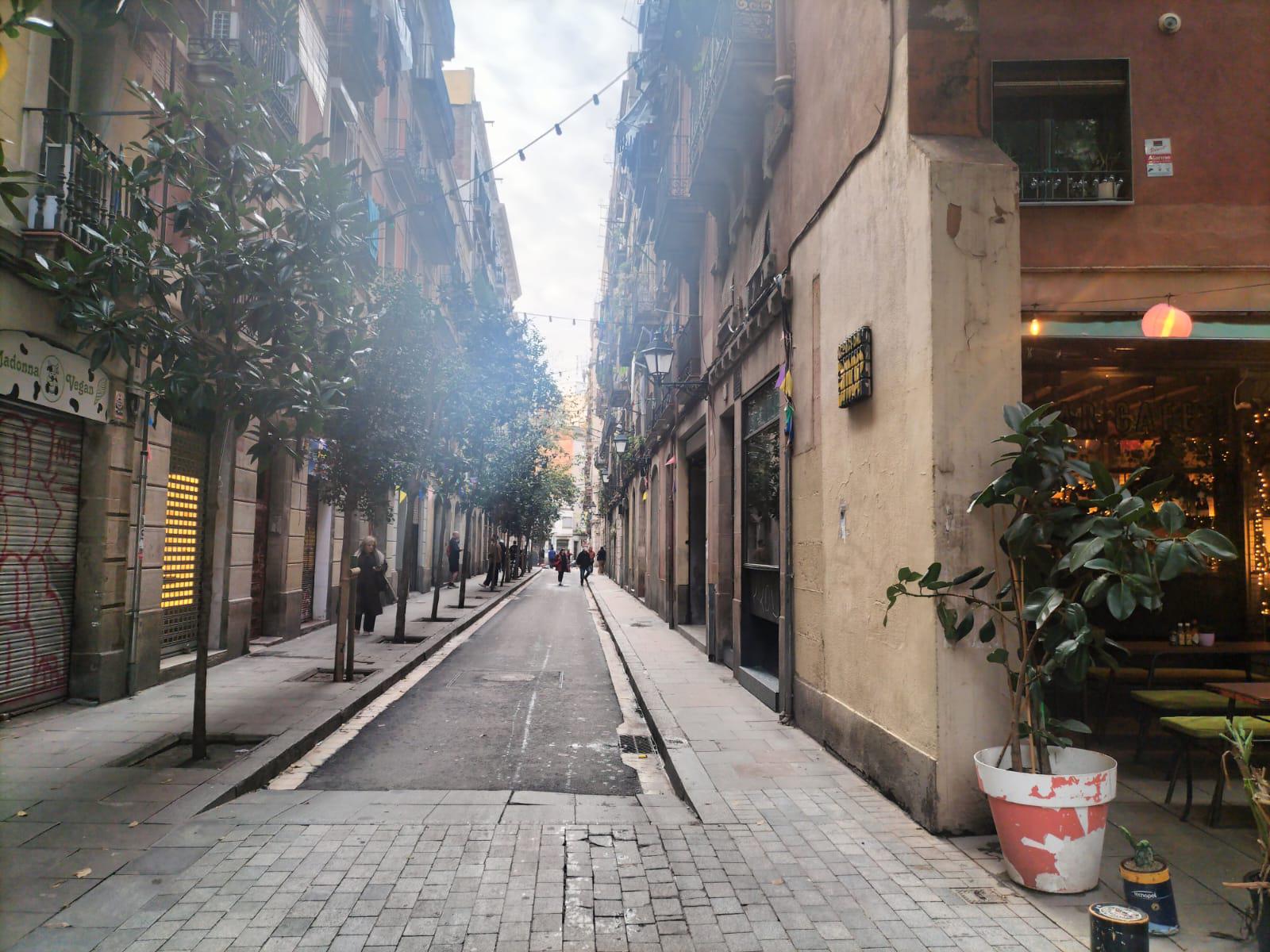 Imagen 28 Piso en venta en Barcelona / Peu de la Creu - Joaquim Costa