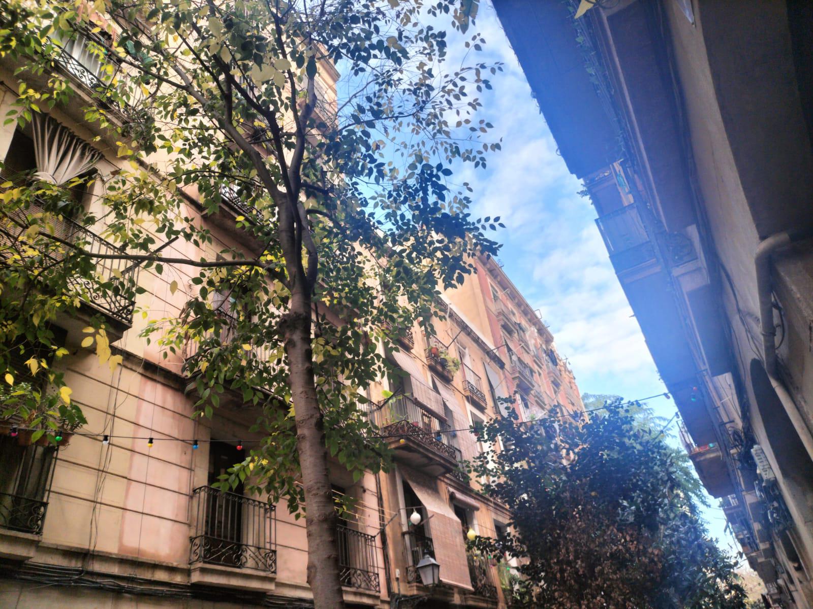 Imagen 32 Piso en venta en Barcelona / Peu de la Creu - Joaquim Costa