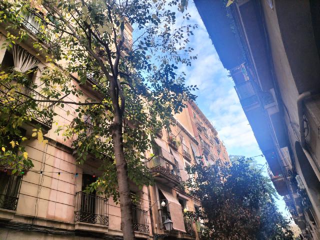 Imagen 32 Inmueble 298290 - Piso en venta en Barcelona / Peu de la Creu - Joaquim Costa