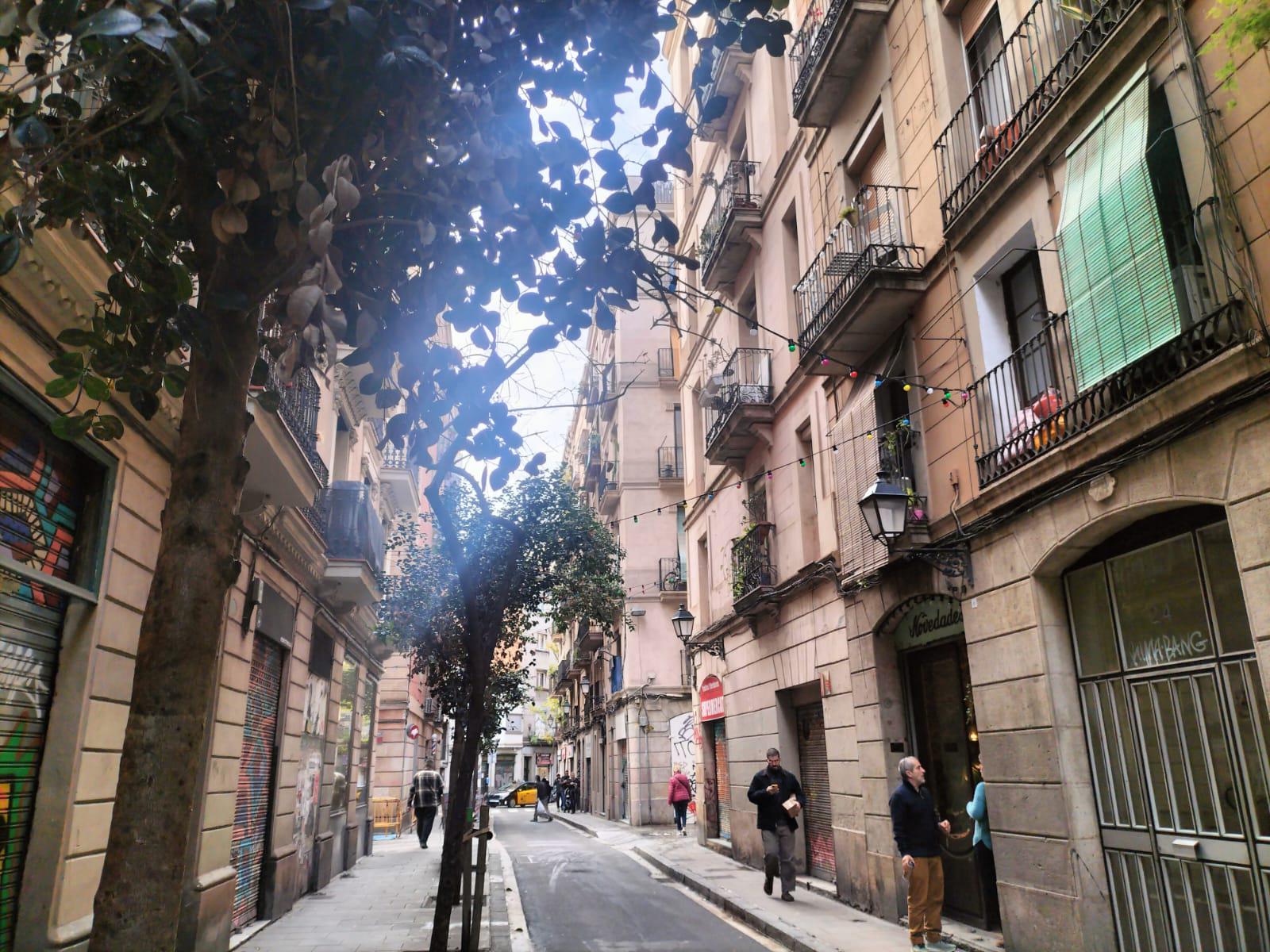 Imagen 31 Piso en venta en Barcelona / Peu de la Creu - Joaquim Costa