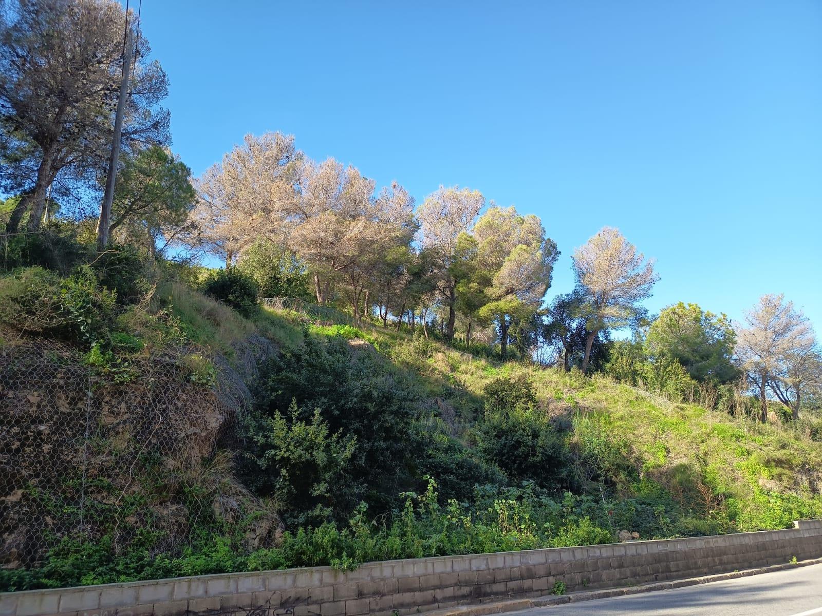 Imagen 22 Piso en venta en Barcelona / Santuari - Murtra