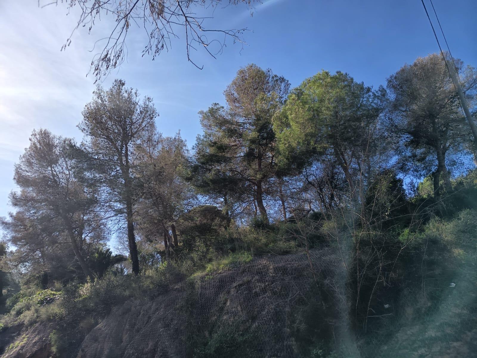 Imagen 23 Piso en venta en Barcelona / Santuari - Murtra