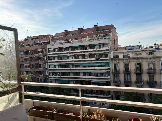 Imagen 12 Inmueble 303042 - Piso en venta en Barcelona / Av. Paral.lel - Tapioles