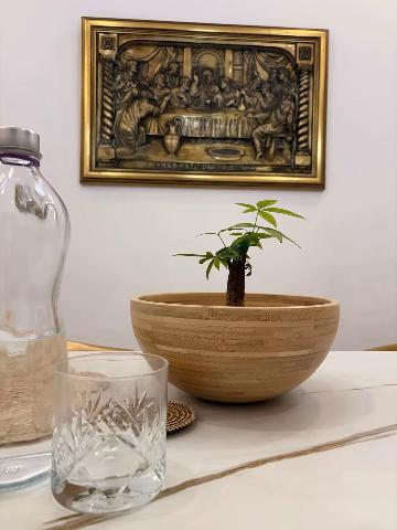 Imagen 13 Inmueble 303133 - Piso en venta en Barcelona / Guitard - Caballero