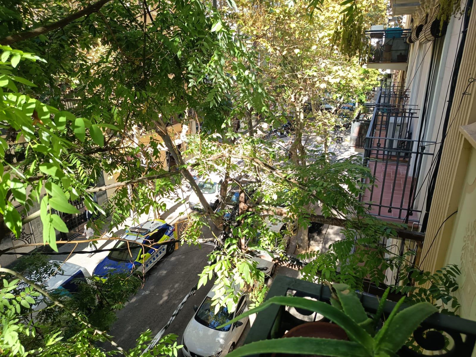 Imagen 27 Piso en venta en Barcelona / Vallespir - Novell