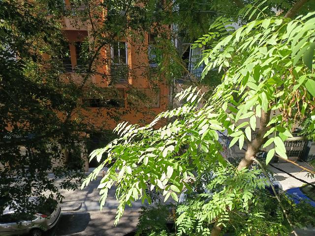 Imagen 30 Inmueble 305552 - Piso en venta en Barcelona / Vallespir - Novell