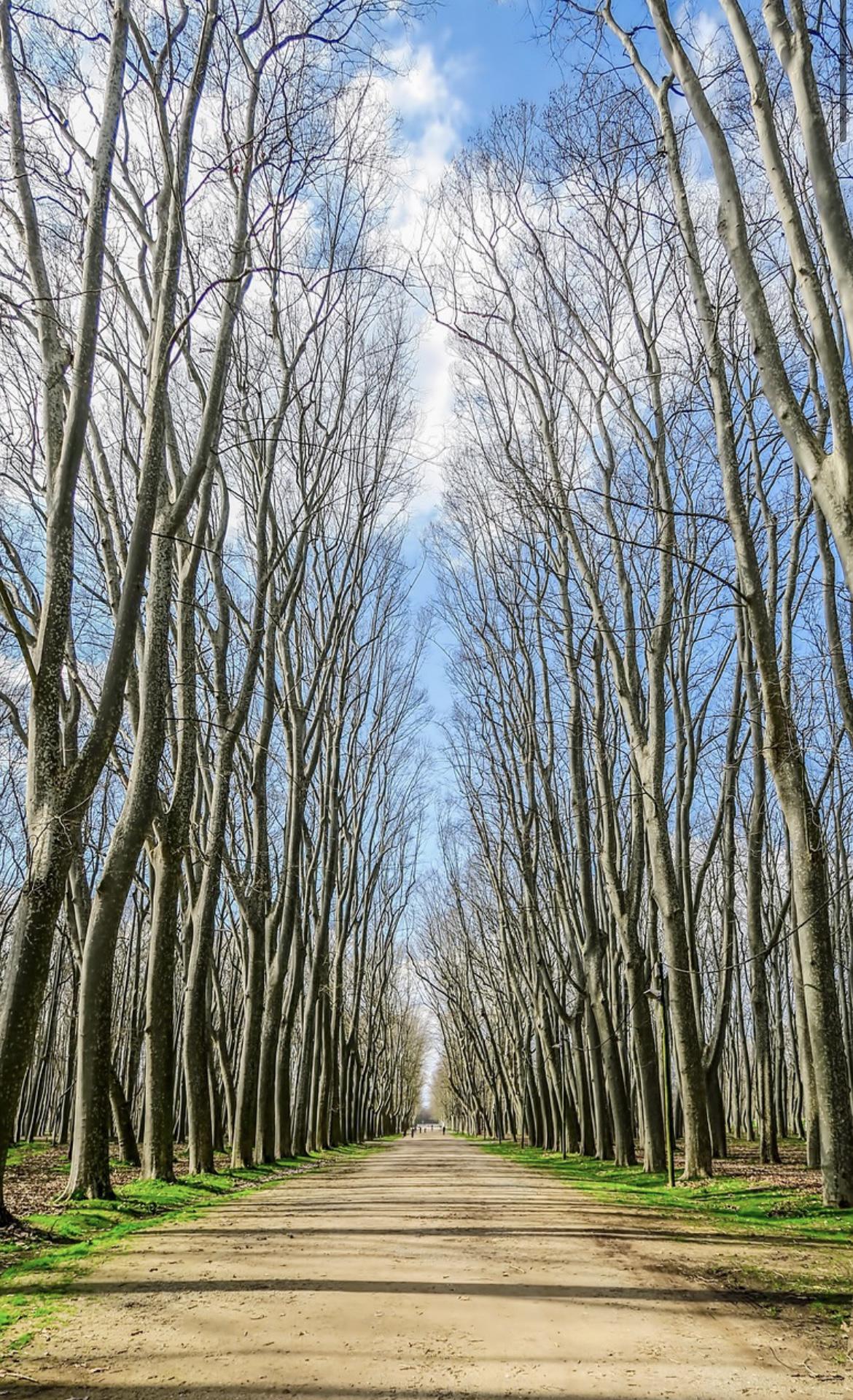 Imagen 3 Piso en alquiler en Girona / Pis de lloguer temporal 106m2 al costat de Corte Inglés 