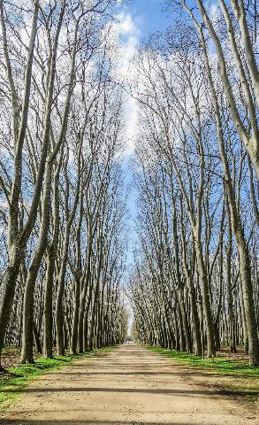 Imagen 3 Inmueble 299294 - Piso en alquiler en Girona / Pis de lloguer temporal 106m2 al costat de Corte Inglés 