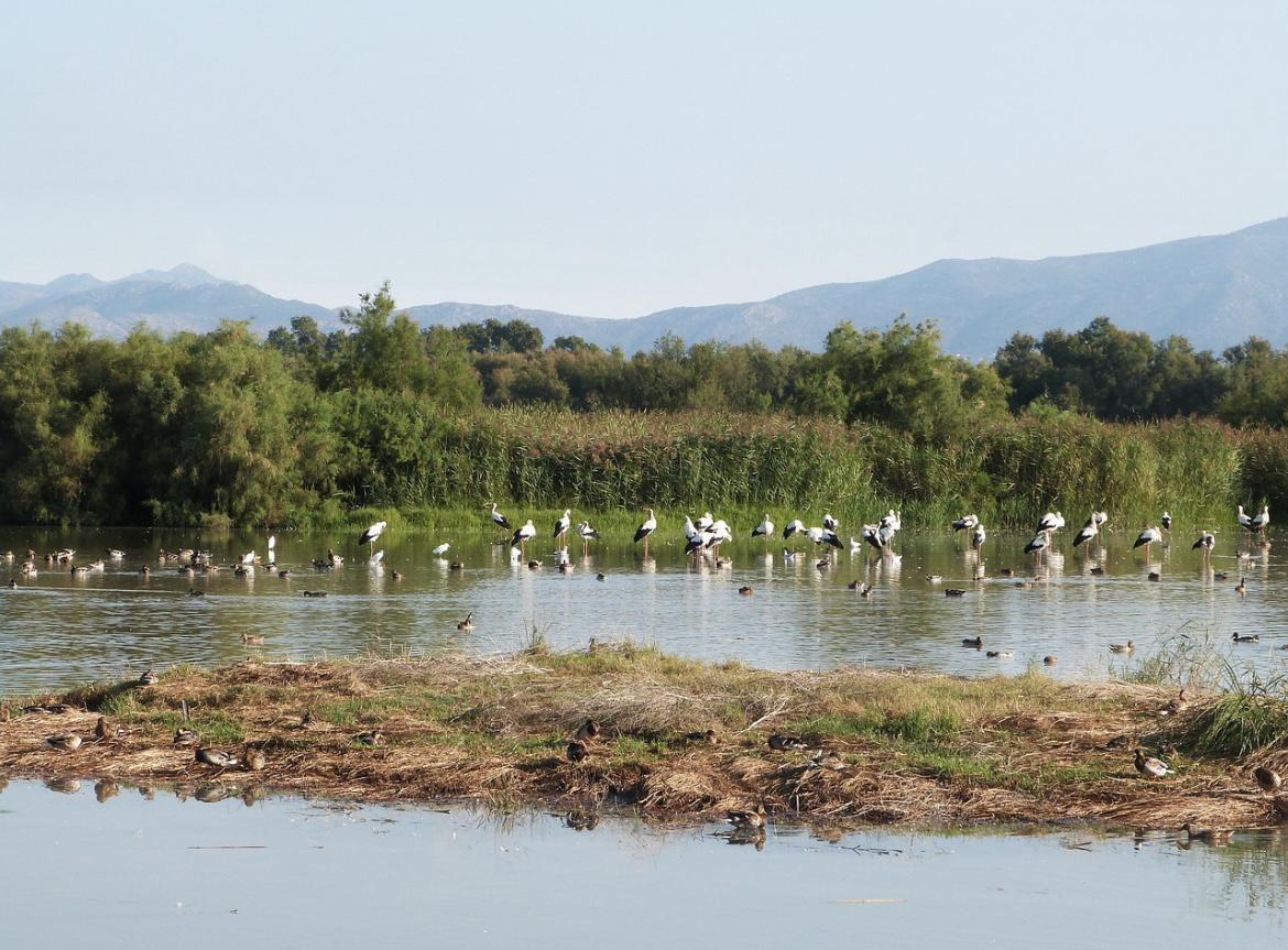 Imagen 5 Solar Rústico en venta en Lladó / Solar rústic de 3000 m2  a Lladó Girona