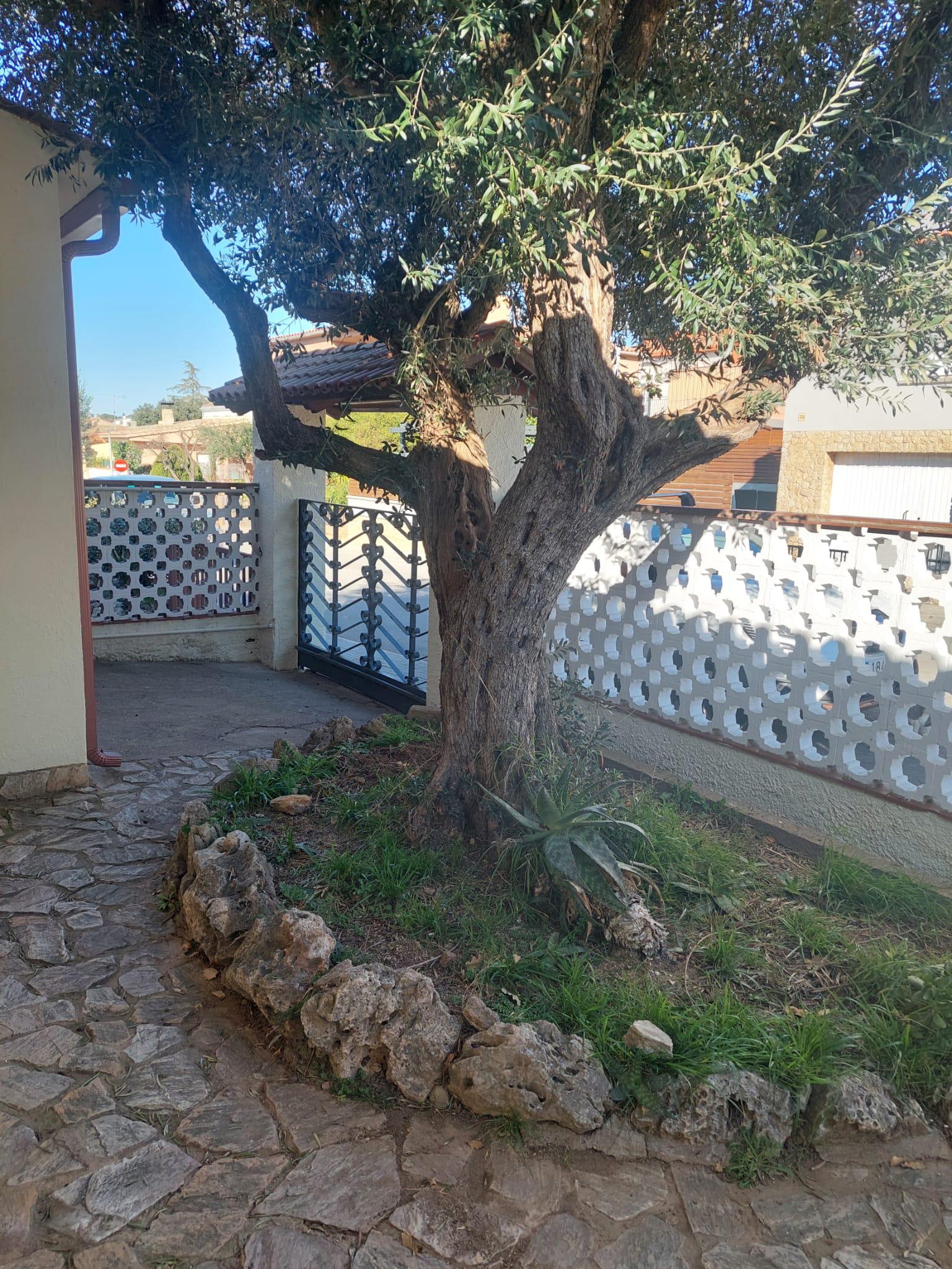 Imagen 14 Casa Aislada en alquiler en Bisbal D´empordà La / Casa independent de 188 m2 a La Bisbal...