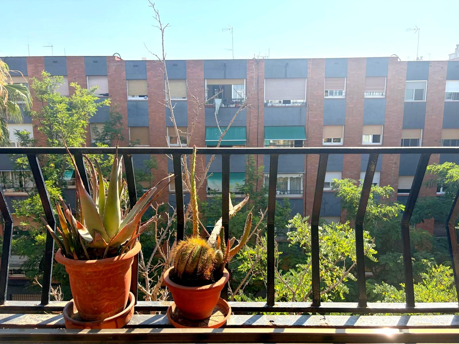 Imagen 26 Piso en venta en Hospitalet De Llobregat L´ / Junto Avda. Enric Prat de la Riba