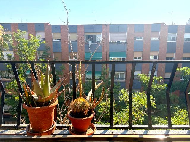 Imagen 26 Inmueble 304452 - Piso en venta en Hospitalet De Llobregat (L´) / Junto Avda. Enric Prat de la Riba