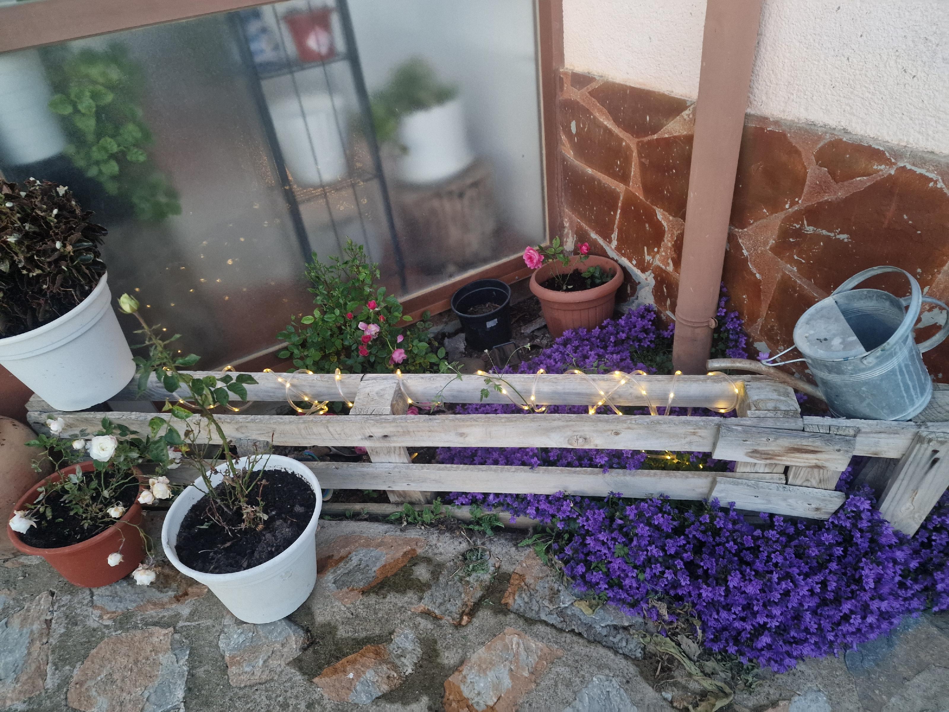 Imagen 2 Casa Aislada en venta en Condado De Treviño / A tan solo 15 min de Vitoria