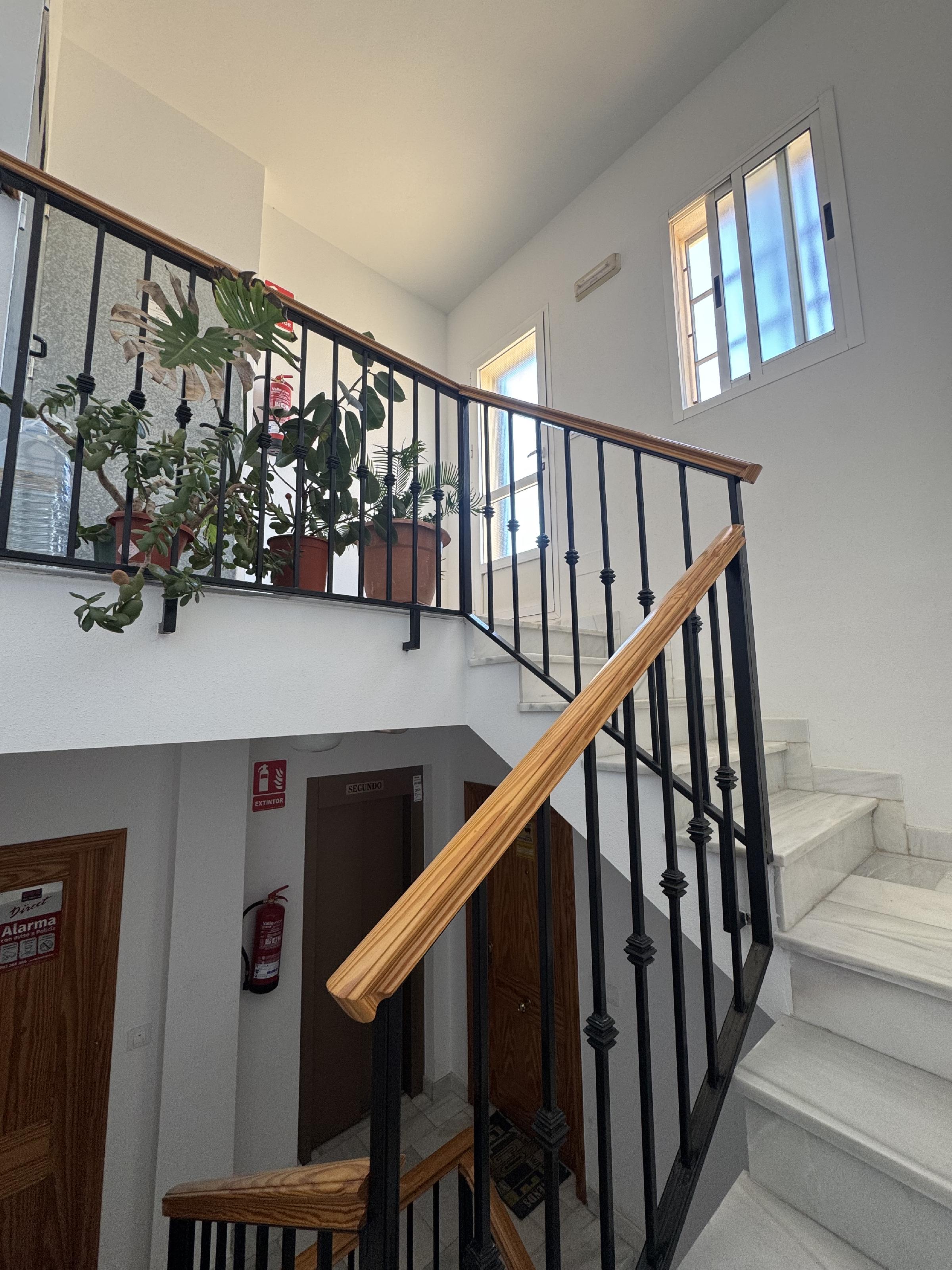 Imagen 26 Apartamento en venta en Garrucha / En Calle Buenavista, en casco urbano del pueblo.