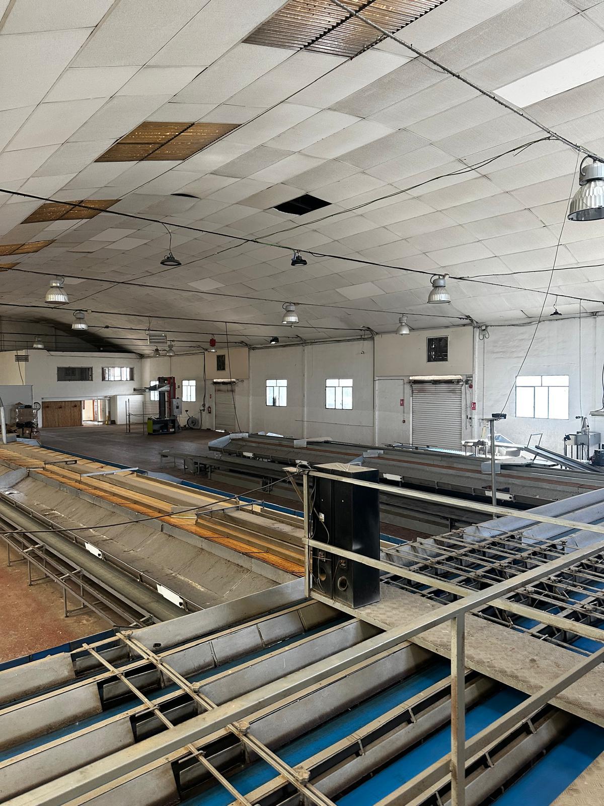 Imagen 14 Local Industrial en venta en Murcia / Nave industrial en zona de fácil acceso en Murcia.