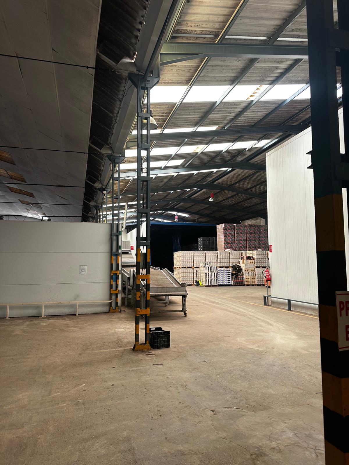 Imagen 22 Local Industrial en venta en Murcia / Nave industrial en zona de fácil acceso en Murcia.