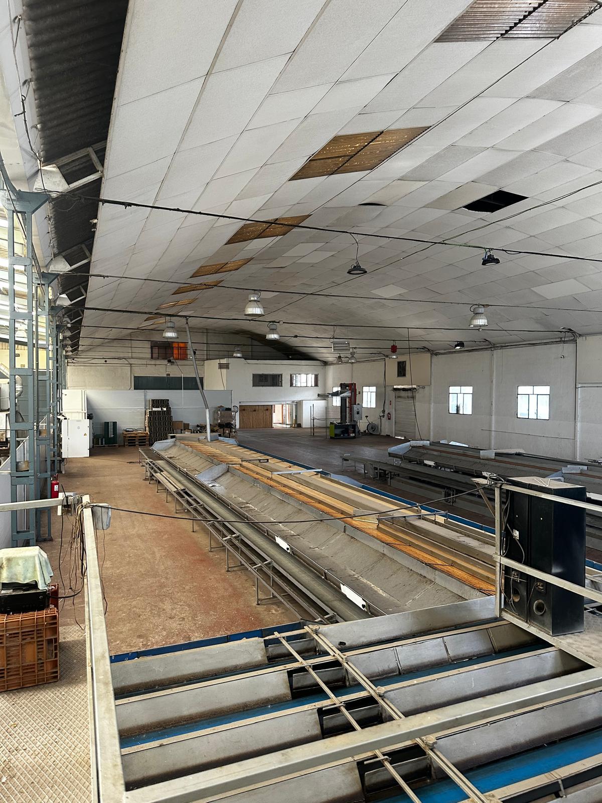 Imagen 24 Local Industrial en venta en Murcia / Nave industrial en zona de fácil acceso en Murcia.