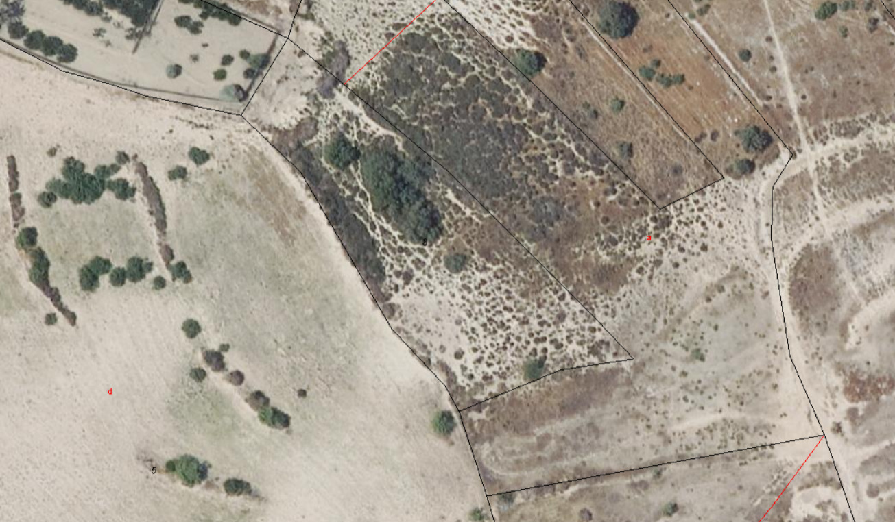 Imagen 4 Solar Rústico en venta en Garrucha / En el campo de la Jara, a 5 minutos de la población.