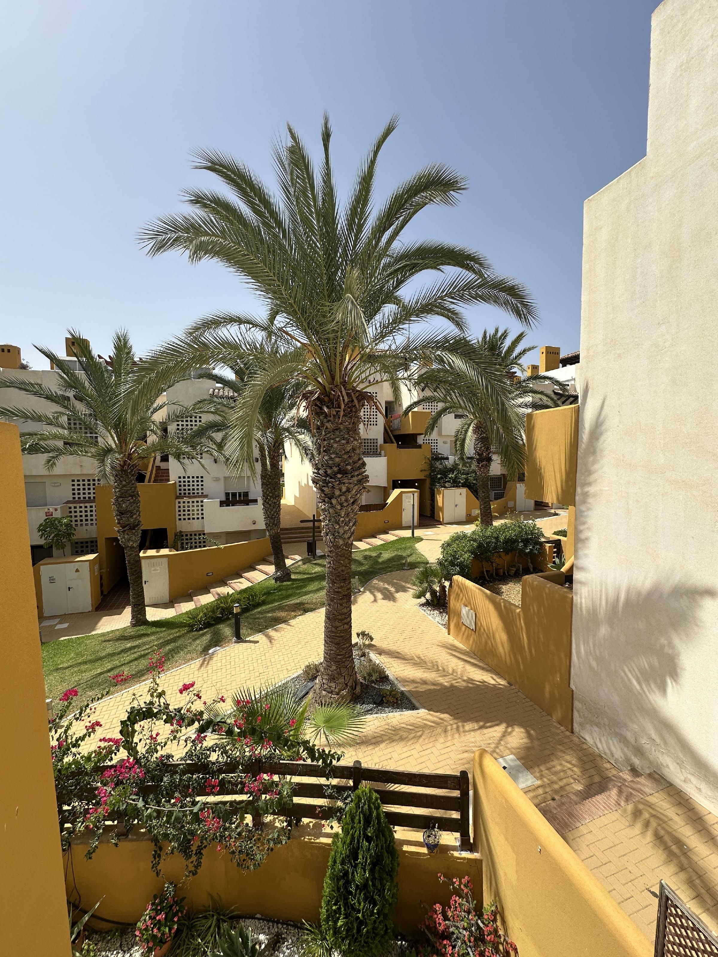 Imagen 12 Apartamento en venta en Vera / En la urbanización rodeada de jardines y piscina.