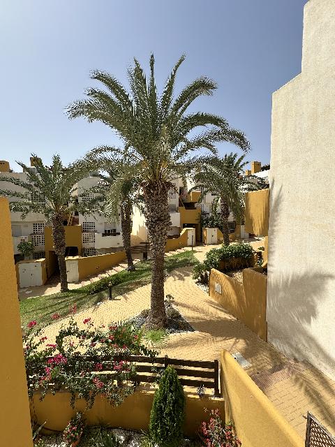 Imagen 12 Inmueble 305428 - Apartamento en venta en Vera / En la urbanización rodeada de jardines y piscina.