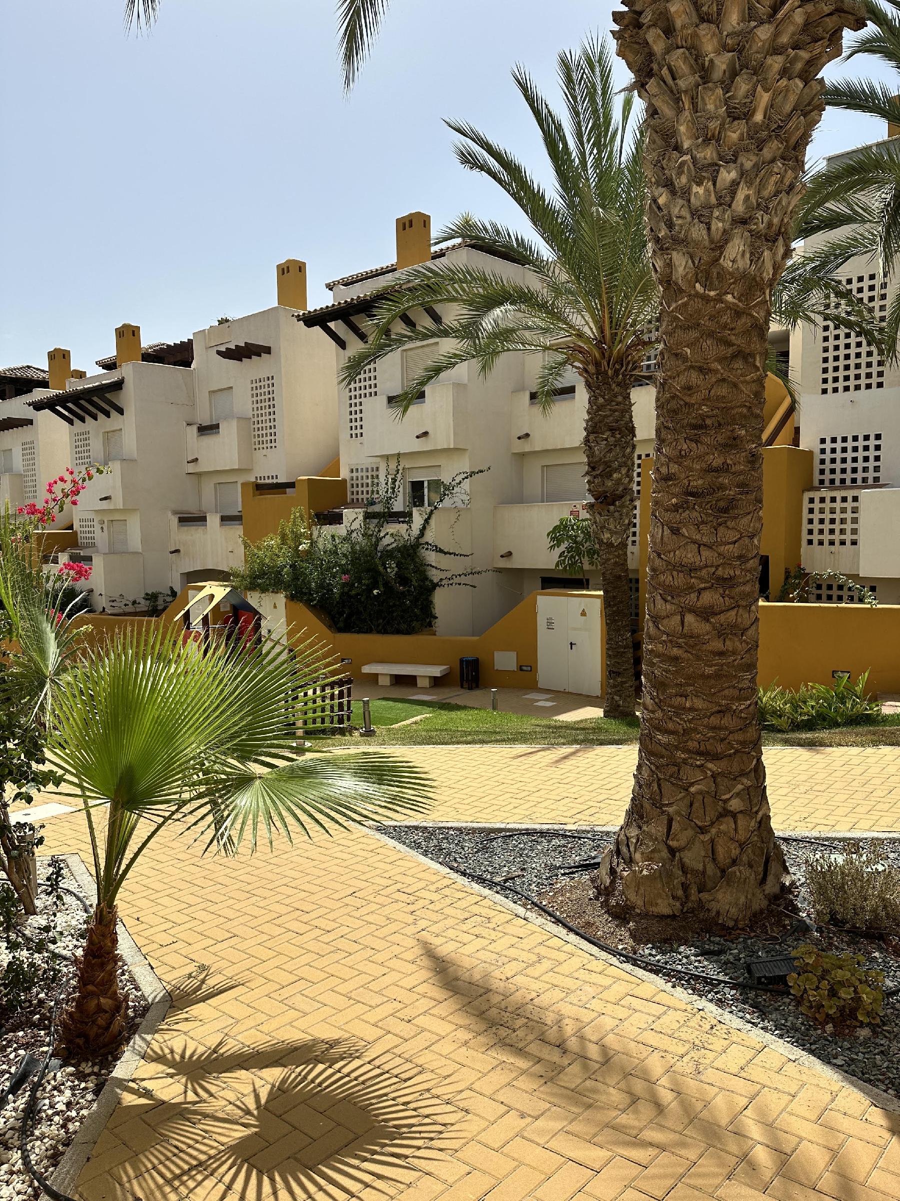 Imagen 28 Apartamento en venta en Vera / En la urbanización rodeada de jardines y piscina.