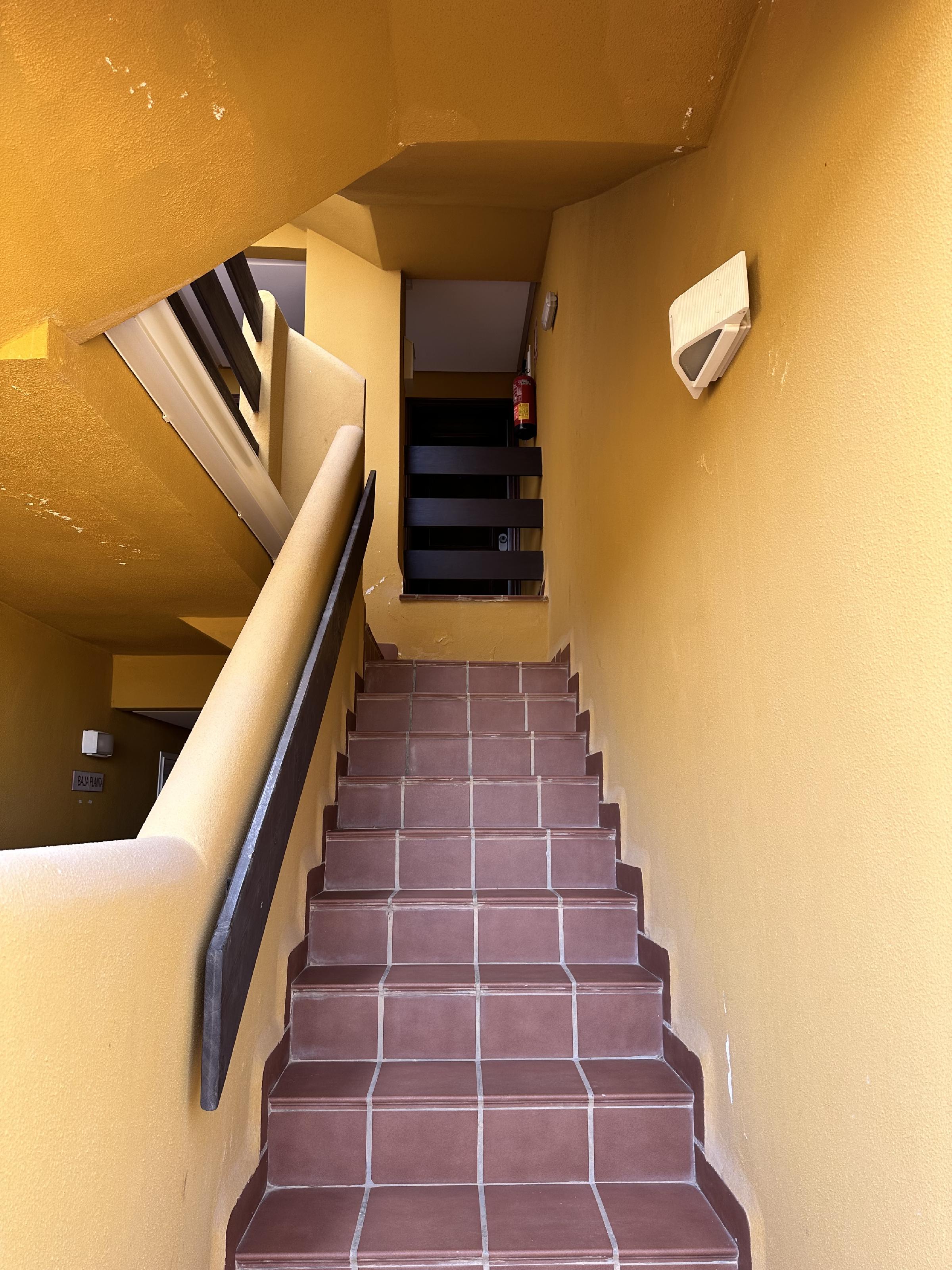 Imagen 32 Apartamento en venta en Vera / En la urbanización rodeada de jardines y piscina.