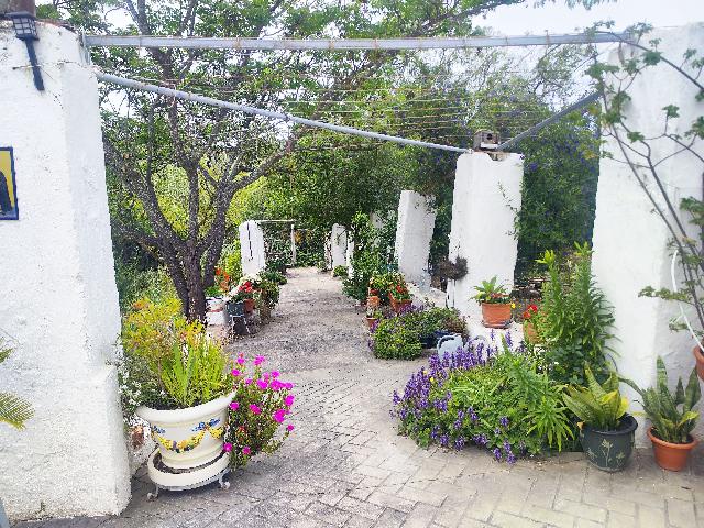 Imagen 5 Inmueble 302246 - Casa en venta en Ayamonte / Junto a la Autovía del V Centenario de Ayamonte