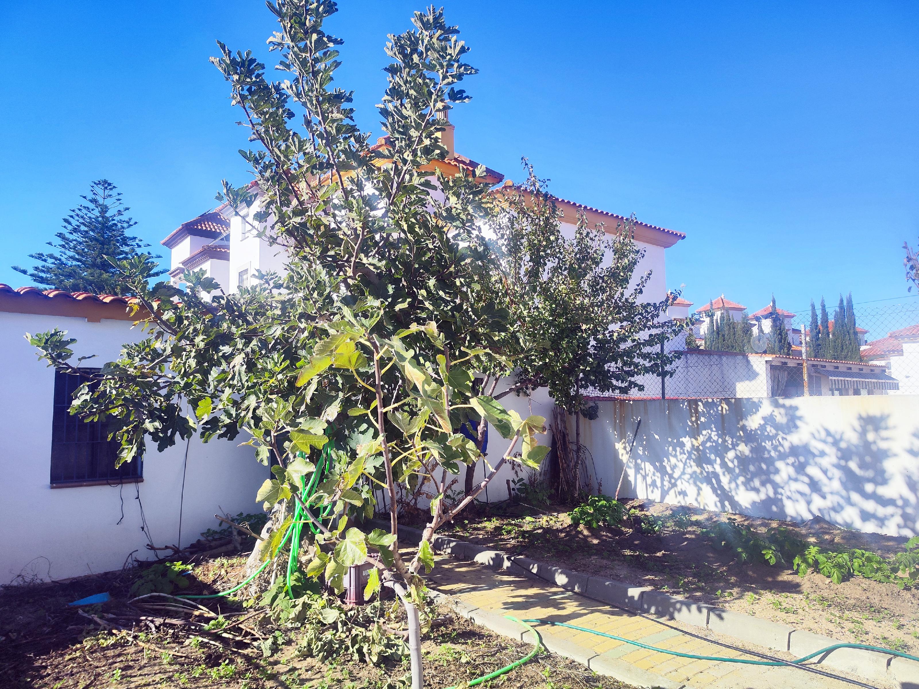 Imagen 6 Casa en venta en Ayamonte / Junto al Centro Comercial La Plaza !