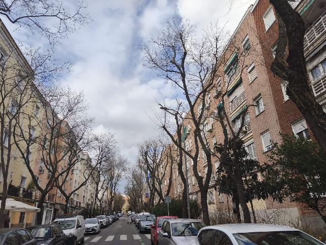 Imagen 21 Inmueble 299947 - Planta Baja en venta en Madrid / Zona ventas cercano al parque Fuente del Berro