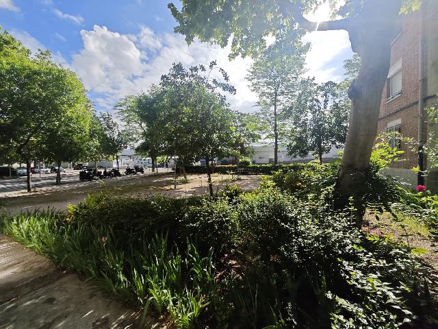 Imagen 18 Inmueble 302706 - Piso en venta en Madrid / Ubicada en una zona tranquila de Ciudad Pegaso -Rejas