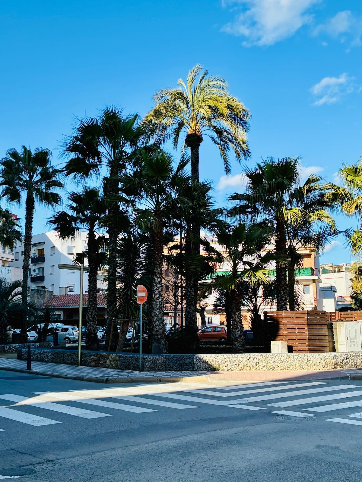 Imagen 12 Piso en venta en Pineda De Mar / Cerca de la Plaza Las Palmeras