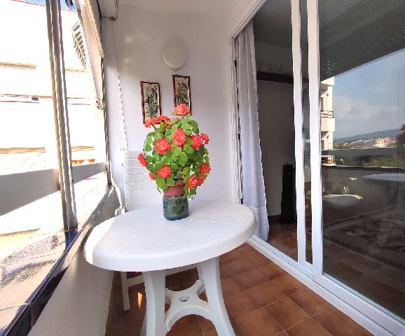 Imagen 9 Inmueble 306909 - Piso en venta en Pineda De Mar / Zona del Taurus