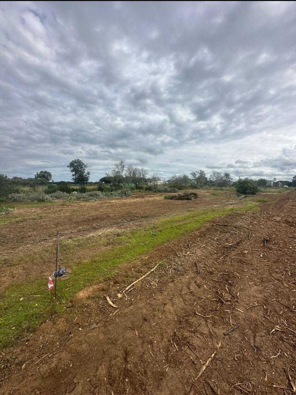 Imagen 5 Solar Rústico en venta en Chiclana De La Frontera / Cerca del Novo Sancti Petri.