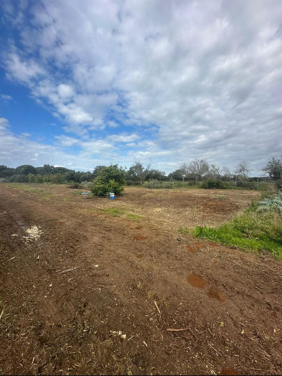 Imagen 6 Solar Rústico en venta en Chiclana De La Frontera / Cerca del Novo Sancti Petri.