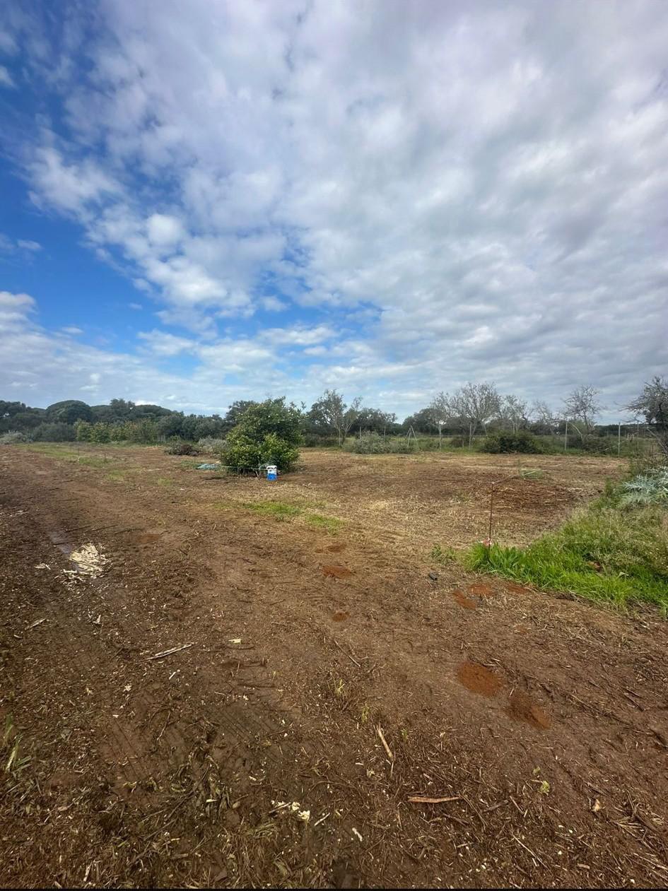 Imagen 11 Solar Rústico en venta en Chiclana De La Frontera / Cerca del Novo Sancti Petri.