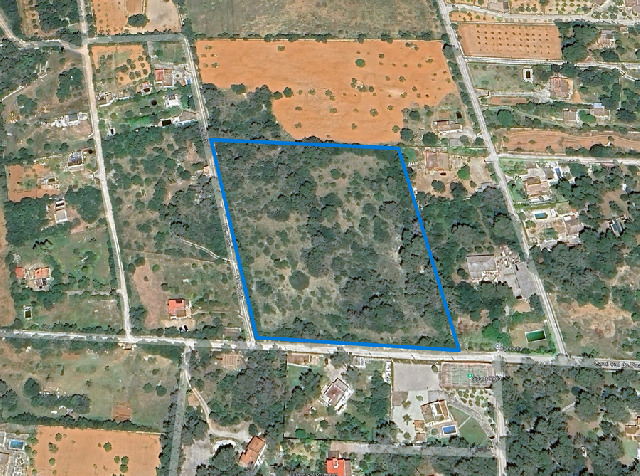 Imagen 1 Inmueble 294092 - Solar Rústico en venta en Algaida /  ALGAIDA  TANCATS DES MORTS  A 10 MINUTOS DE PALMA