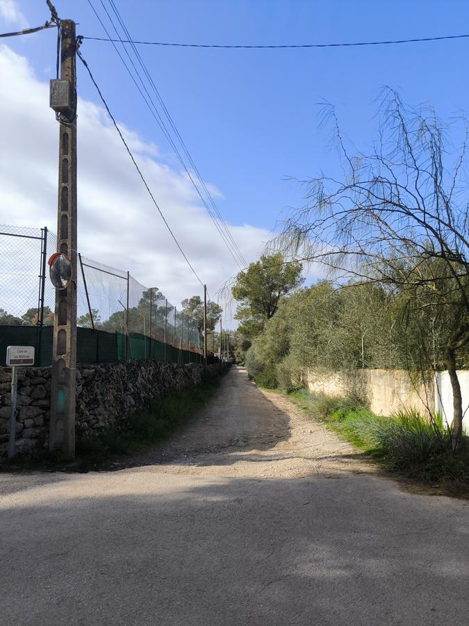 Imagen 6 Solar Rústico en venta en Algaida /  ALGAIDA  TANCATS DES MORTS  A 10 MINUTOS DE PALMA