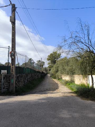 Imagen 6 Inmueble 294092 - Solar Rústico en venta en Algaida /  ALGAIDA  TANCATS DES MORTS  A 10 MINUTOS DE PALMA