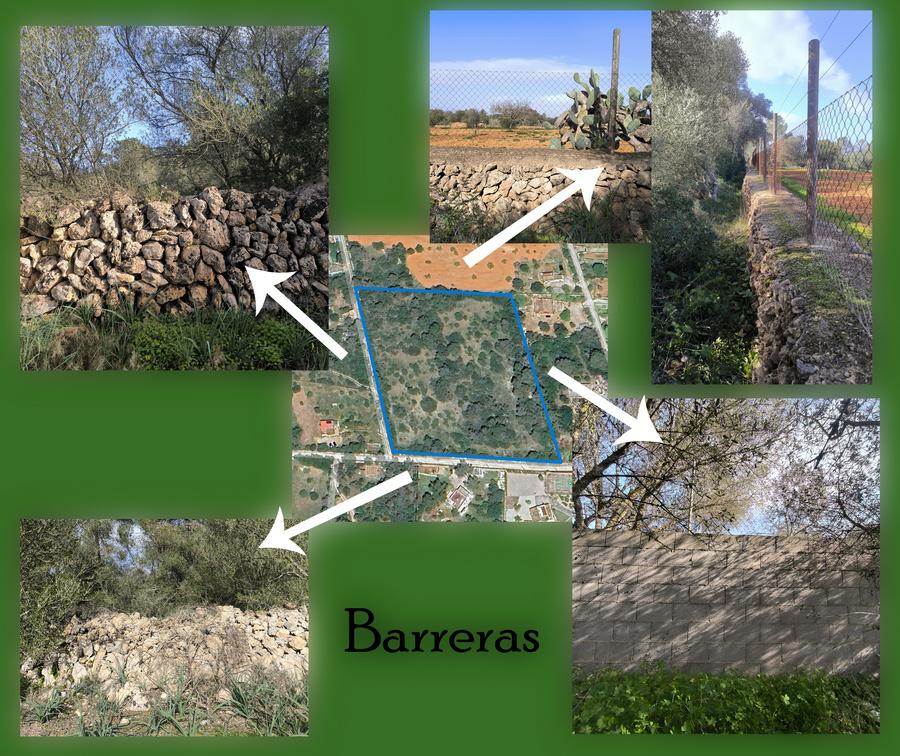 Imagen 2 Solar Rústico en venta en Algaida /  ALGAIDA  TANCATS DES MORTS  A 10 MINUTOS DE PALMA